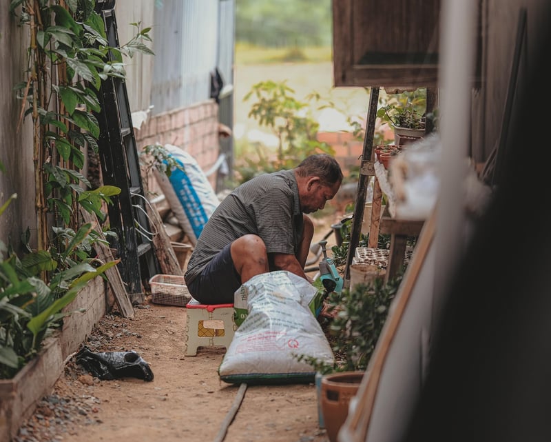 Urban gardening